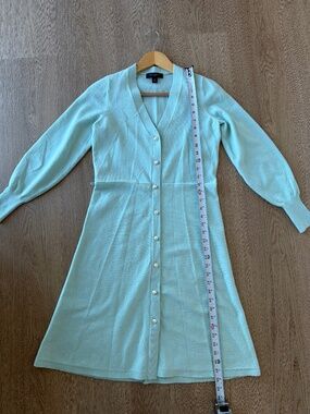 Ann Taylor Petite mint green dress